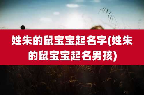 姓朱的鼠宝宝起名字(姓朱的鼠宝宝起名男孩)