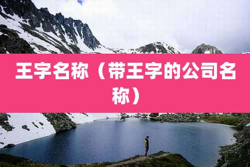 王字名称（带王字的公司名称）