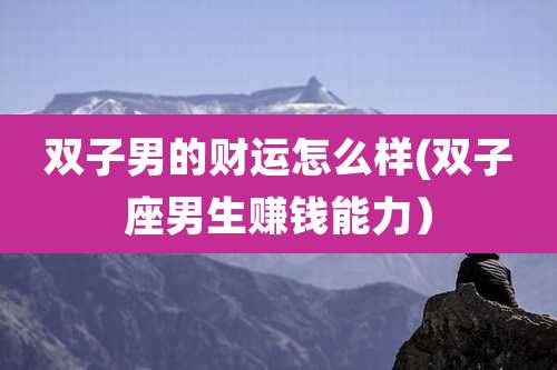 双子男的财运怎么样(双子座男生赚钱能力）