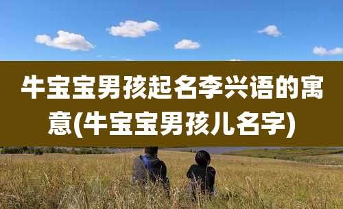 牛宝宝男孩起名李兴语的寓意(牛宝宝男孩儿名字)
