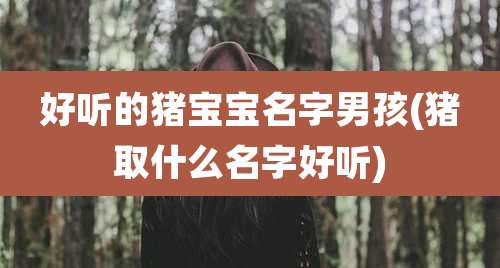 好听的猪宝宝名字男孩(猪取什么名字好听)