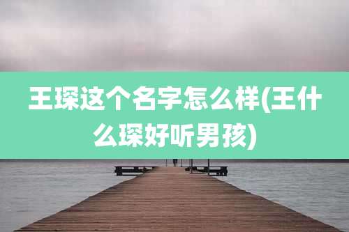 王琛这个名字怎么样(王什么琛好听男孩)
