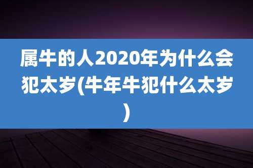 属牛的人2020年为什么会犯太岁(牛年牛犯什么太岁)