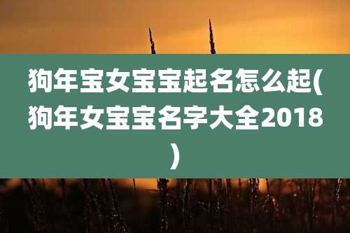 狗年宝女宝宝起名怎么起(狗年女宝宝名字大全2018)