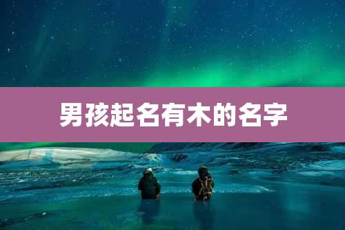 男孩起名有木的名字