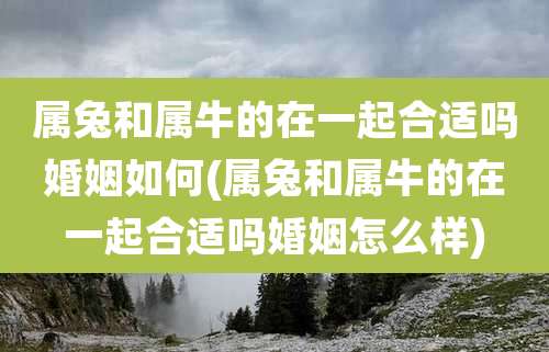 属兔和属牛的在一起合适吗婚姻如何(属兔和属牛的在一起合适吗婚姻怎么样)