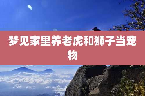 梦见家里养老虎和狮子当宠物