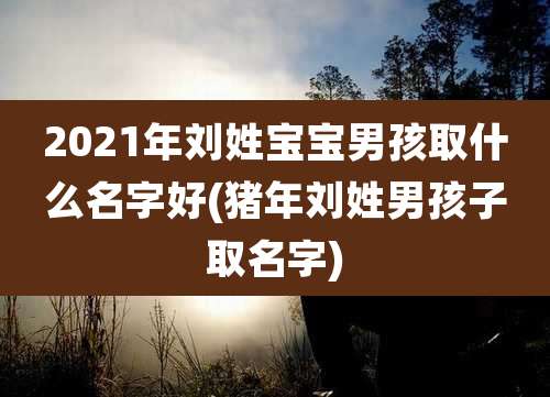 2021年刘姓宝宝男孩取什么名字好(猪年刘姓男孩子取名字)