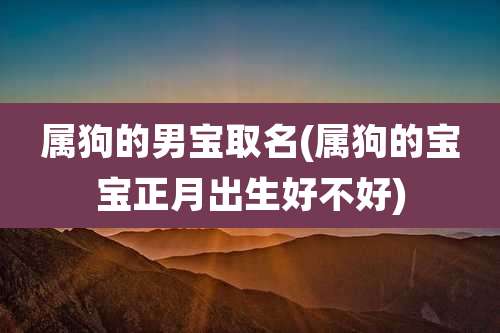 属狗的男宝取名(属狗的宝宝正月出生好不好)