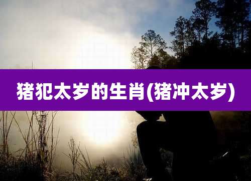 猪犯太岁的生肖(猪冲太岁)