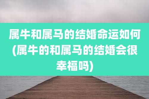 属牛和属马的结婚命运如何(属牛的和属马的结婚会很幸福吗)