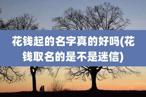 花钱起的名字真的好吗(花钱取名的是不是迷信)