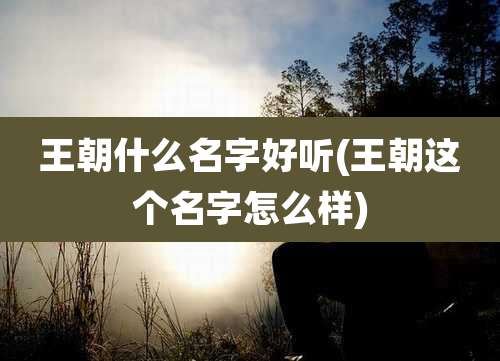 王朝什么名字好听(王朝这个名字怎么样)