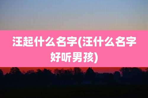 汪起什么名字(汪什么名字好听男孩)