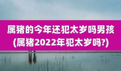属猪的今年还犯太岁吗男孩(属猪2022年犯太岁吗?)