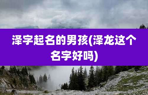 泽字起名的男孩(泽龙这个名字好吗)