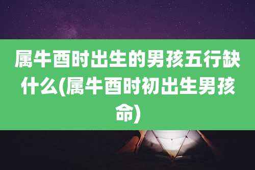 属牛酉时出生的男孩五行缺什么(属牛酉时初出生男孩命)