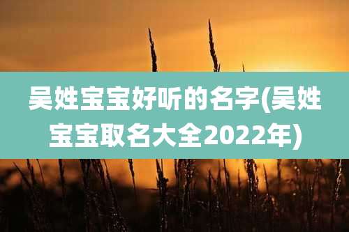 吴姓宝宝好听的名字(吴姓宝宝取名大全2022年)