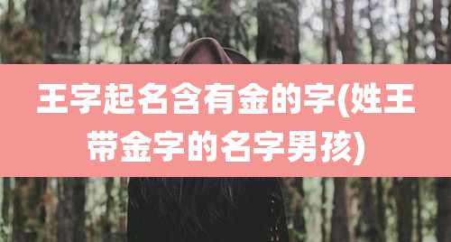 王字起名含有金的字(姓王带金字的名字男孩)