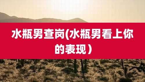 水瓶男查岗(水瓶男看上你的表现)