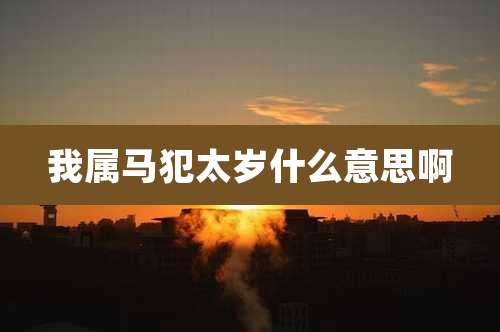 我属马犯太岁什么意思啊