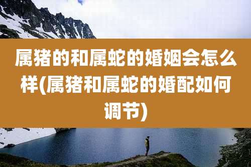 属猪的和属蛇的婚姻会怎么样(属猪和属蛇的婚配如何调节)