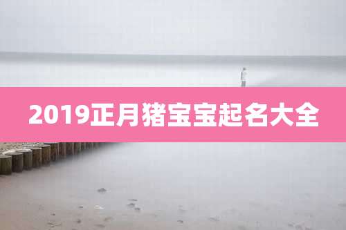 2019正月猪宝宝起名大全