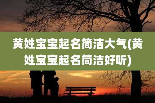 黄姓宝宝起名简洁大气(黄姓宝宝起名简洁好听)