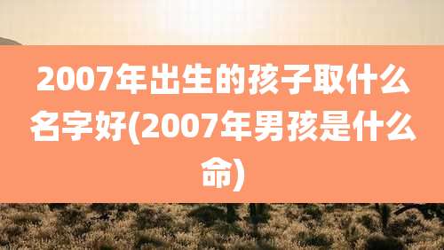2007年出生的孩子取什么名字好(2007年男孩是什么命)