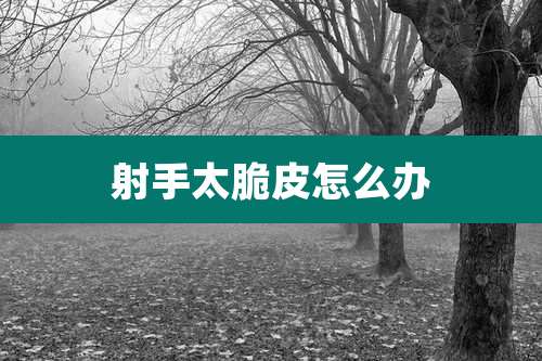 射手太脆皮怎么办