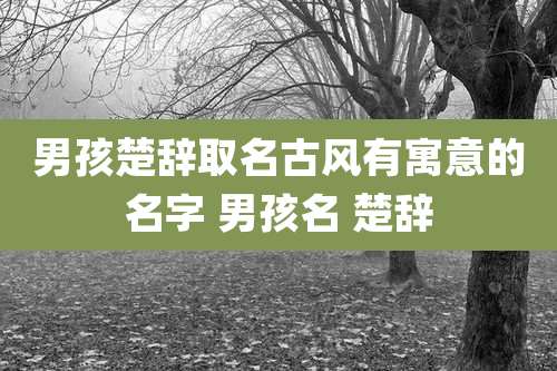 男孩楚辞取名古风有寓意的名字 男孩名 楚辞