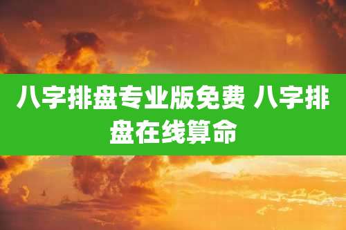 八字排盘专业版免费 八字排盘在线算命