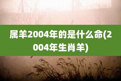 属羊2004年的是什么命(2004年生肖羊)