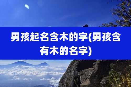 男孩起名含木的字(男孩含有木的名字)