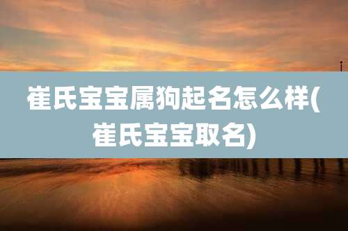 崔氏宝宝属狗起名怎么样(崔氏宝宝取名)