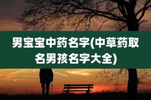 男宝宝中药名字(中草药取名男孩名字大全)
