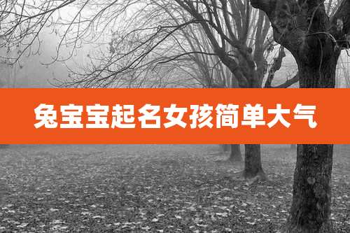 兔宝宝起名女孩简单大气