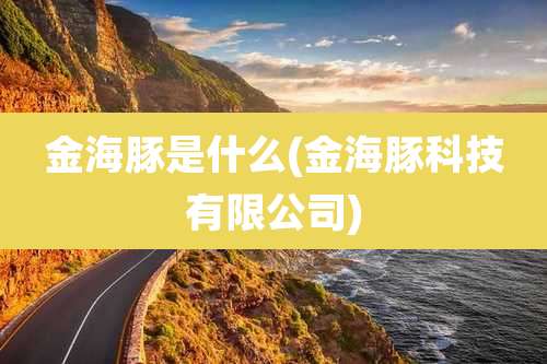 金海豚是什么(金海豚科技有限公司)