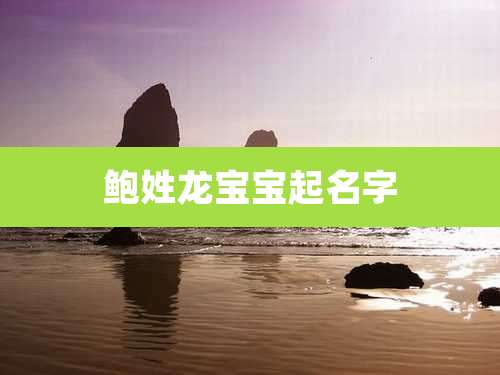 鲍姓龙宝宝起名字