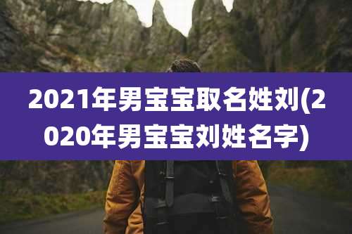 2021年男宝宝取名姓刘(2020年男宝宝刘姓名字)