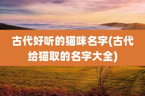 古代好听的猫咪名字(古代给猫取的名字大全)