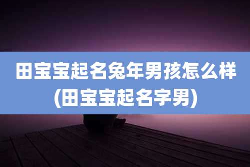 田宝宝起名兔年男孩怎么样(田宝宝起名字男)