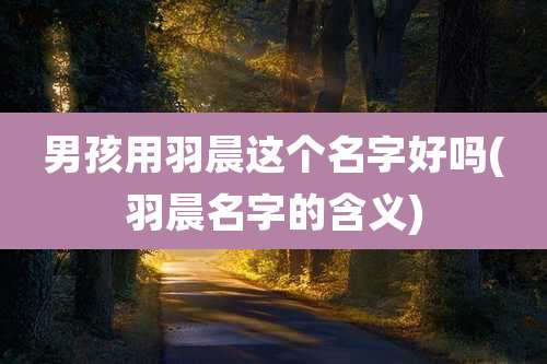 男孩用羽晨这个名字好吗(羽晨名字的含义)