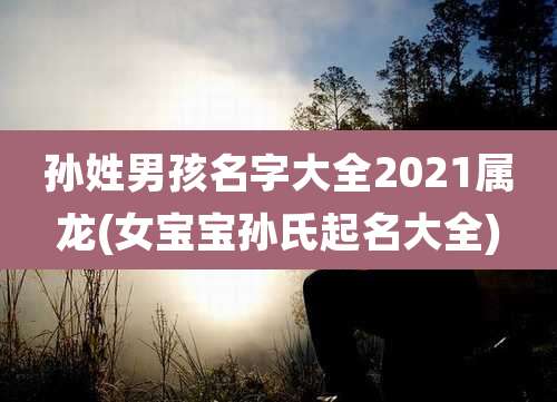孙姓男孩名字大全2021属龙(女宝宝孙氏起名大全)