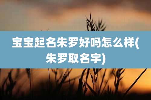 宝宝起名朱罗好吗怎么样(朱罗取名字)
