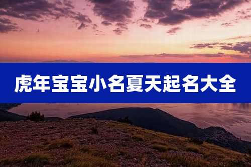 虎年宝宝小名夏天起名大全