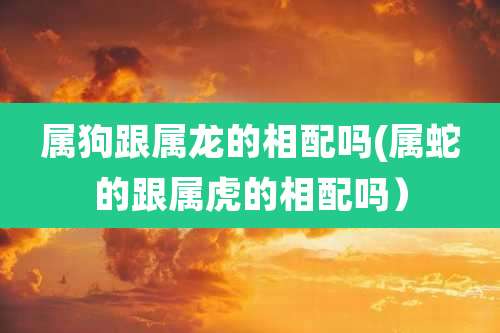 属狗跟属龙的相配吗(属蛇的跟属虎的相配吗)