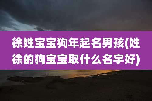 徐姓宝宝狗年起名男孩(姓徐的狗宝宝取什么名字好)