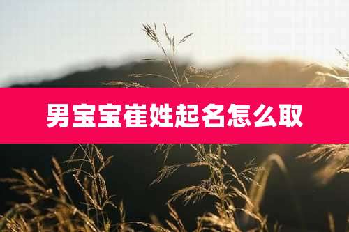 男宝宝崔姓起名怎么取