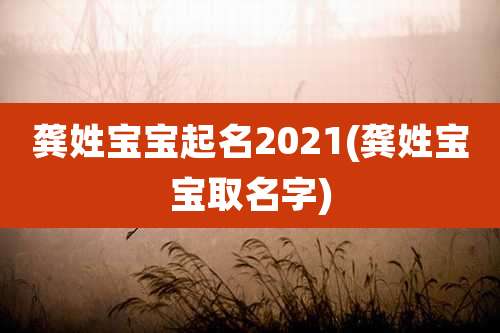 龚姓宝宝起名2021(龚姓宝宝取名字)